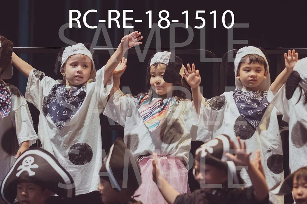 RC-RE-18-1510.jpg