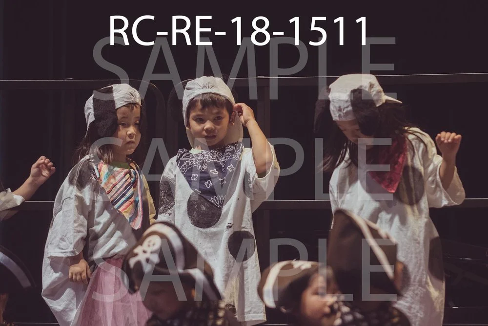 RC-RE-18-1511.jpg