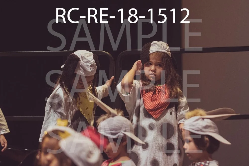 RC-RE-18-1512.jpg
