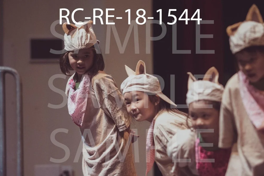 RC-RE-18-1544.jpg