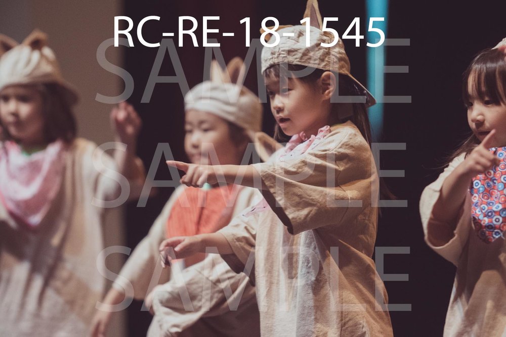RC-RE-18-1545.jpg