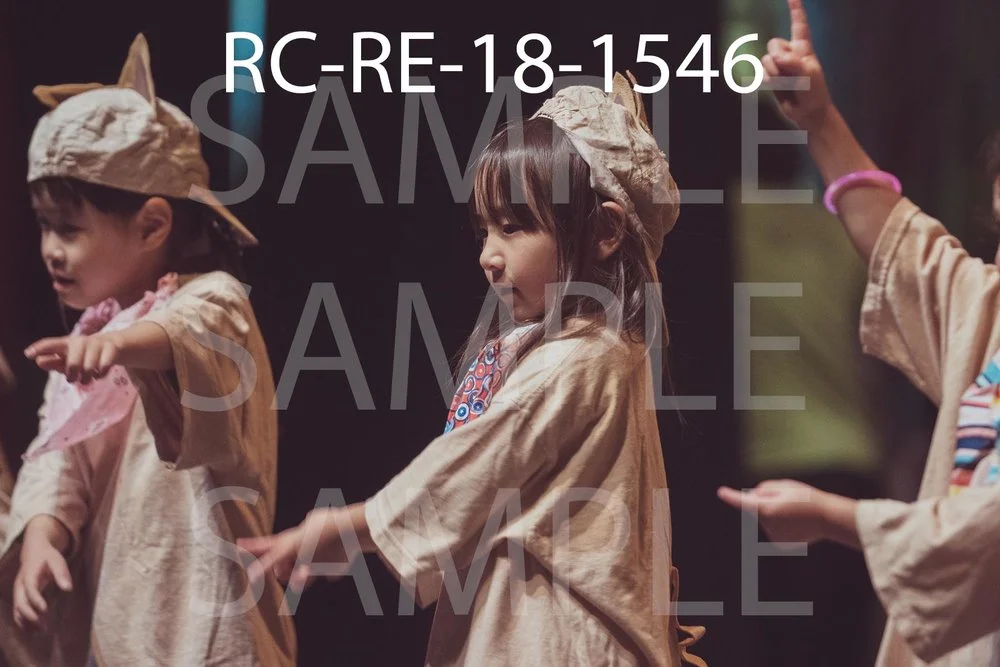 RC-RE-18-1546.jpg