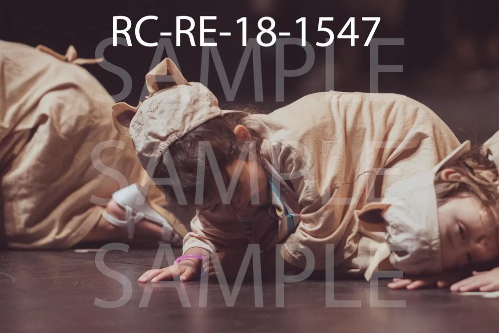 RC-RE-18-1547.jpg