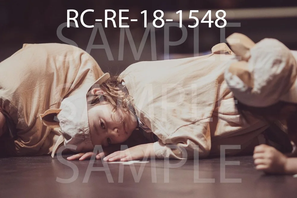 RC-RE-18-1548.jpg