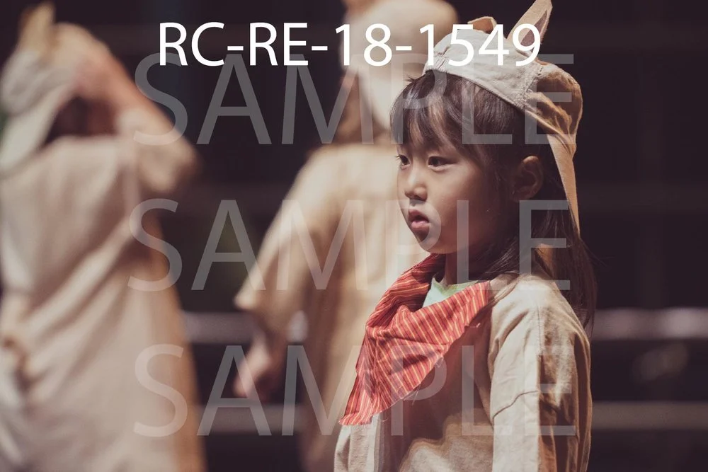 RC-RE-18-1549.jpg