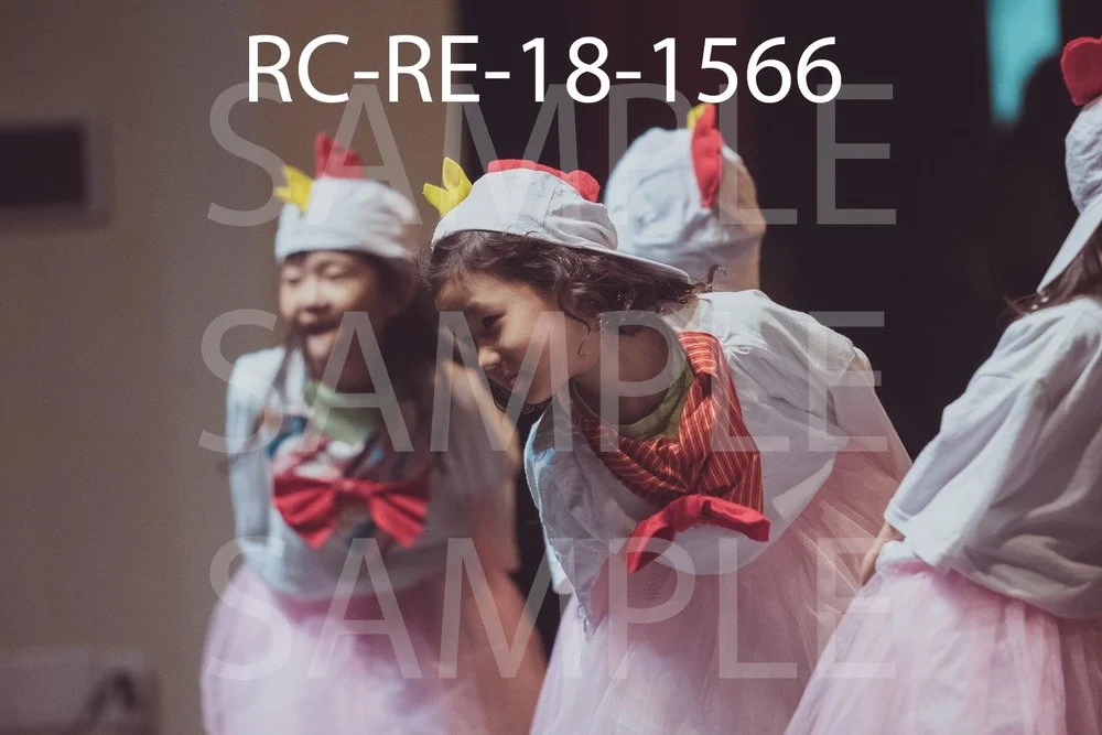 RC-RE-18-1566.jpg