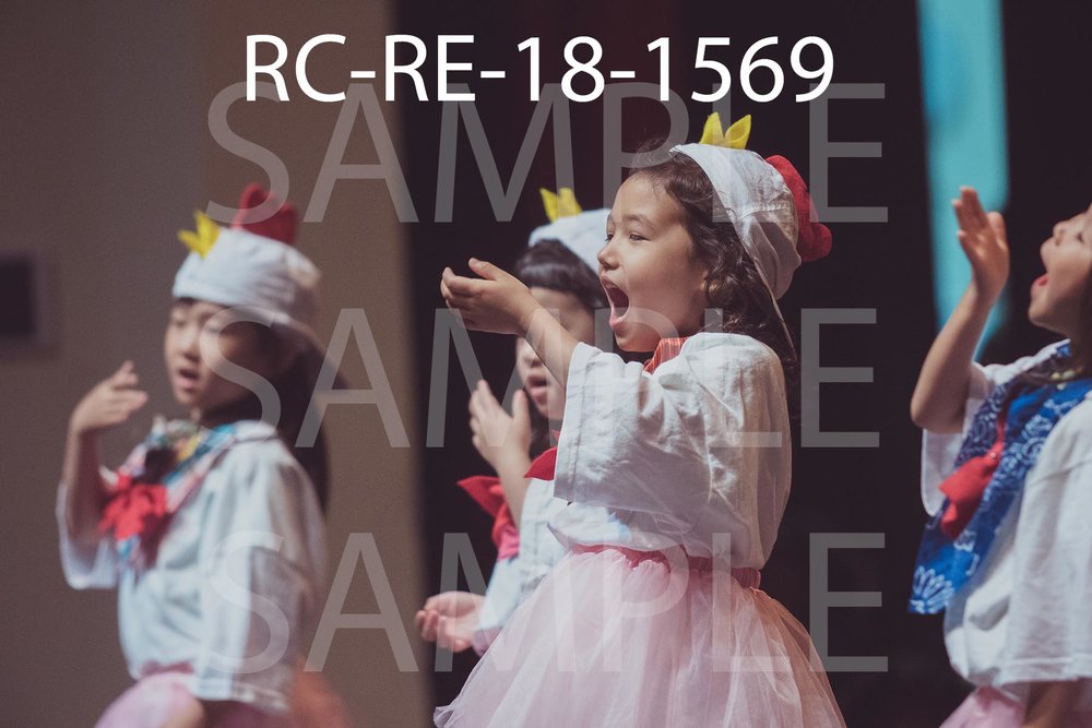 RC-RE-18-1569.jpg