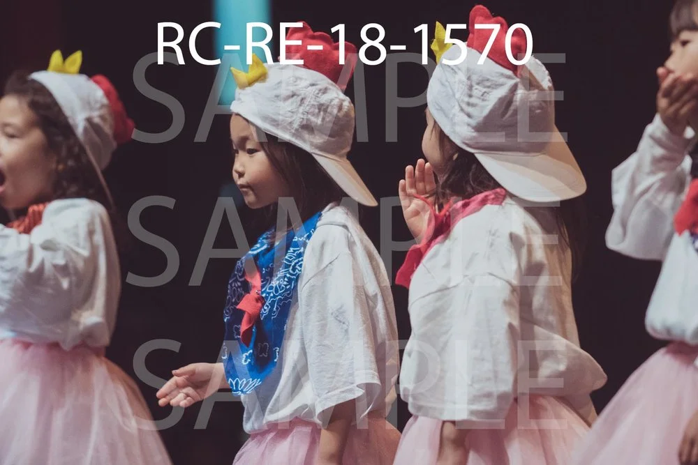 RC-RE-18-1570.jpg
