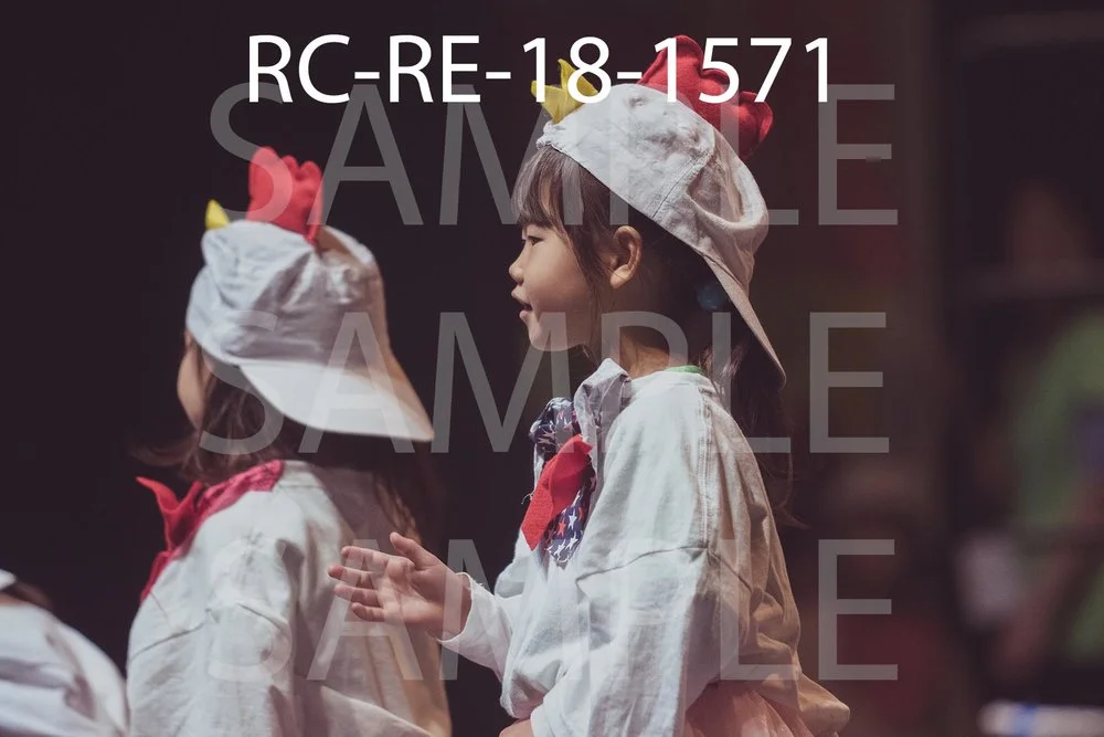 RC-RE-18-1571.jpg