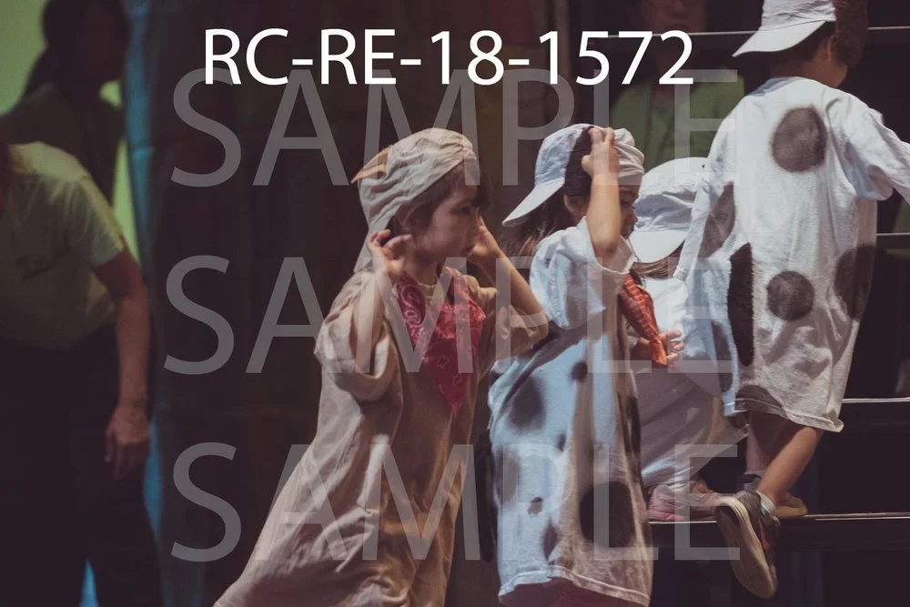 RC-RE-18-1572.jpg