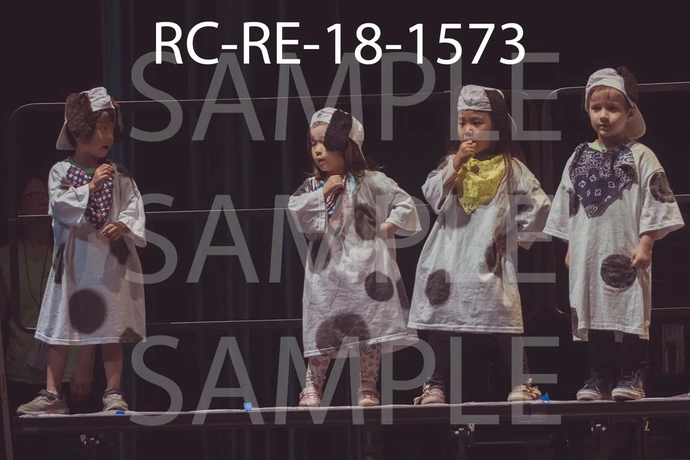 RC-RE-18-1573.jpg
