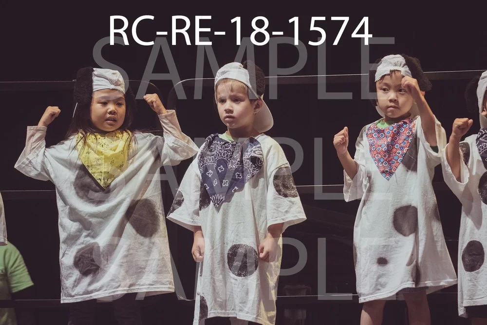 RC-RE-18-1574.jpg