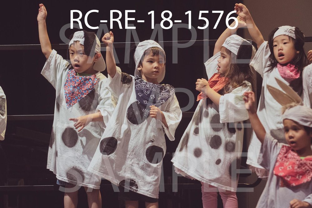 RC-RE-18-1576.jpg