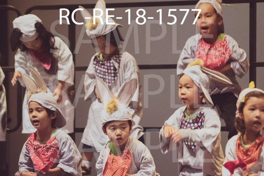 RC-RE-18-1577.jpg
