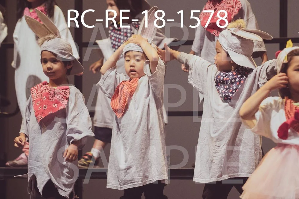 RC-RE-18-1578.jpg