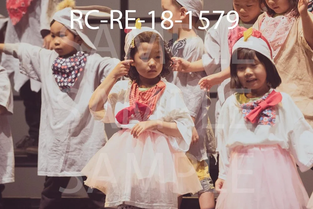 RC-RE-18-1579.jpg