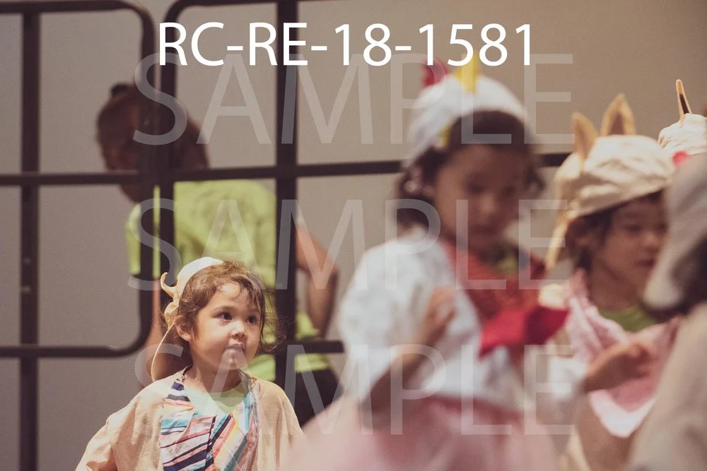 RC-RE-18-1581.jpg