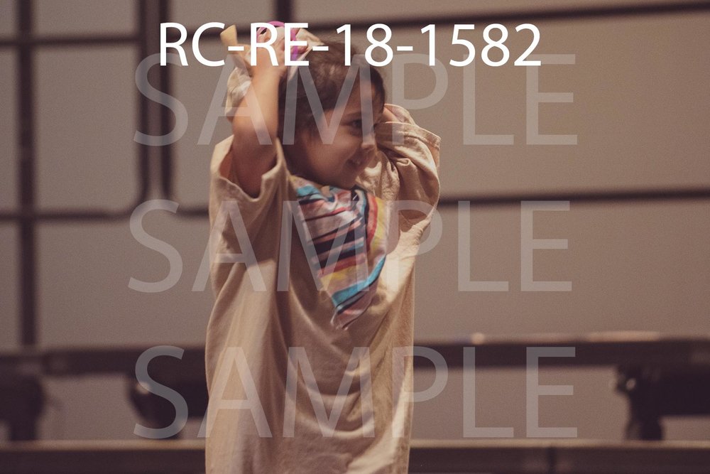 RC-RE-18-1582.jpg