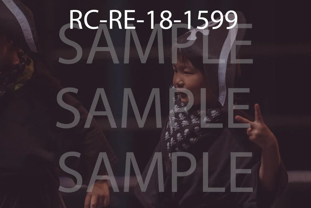 RC-RE-18-1599.jpg
