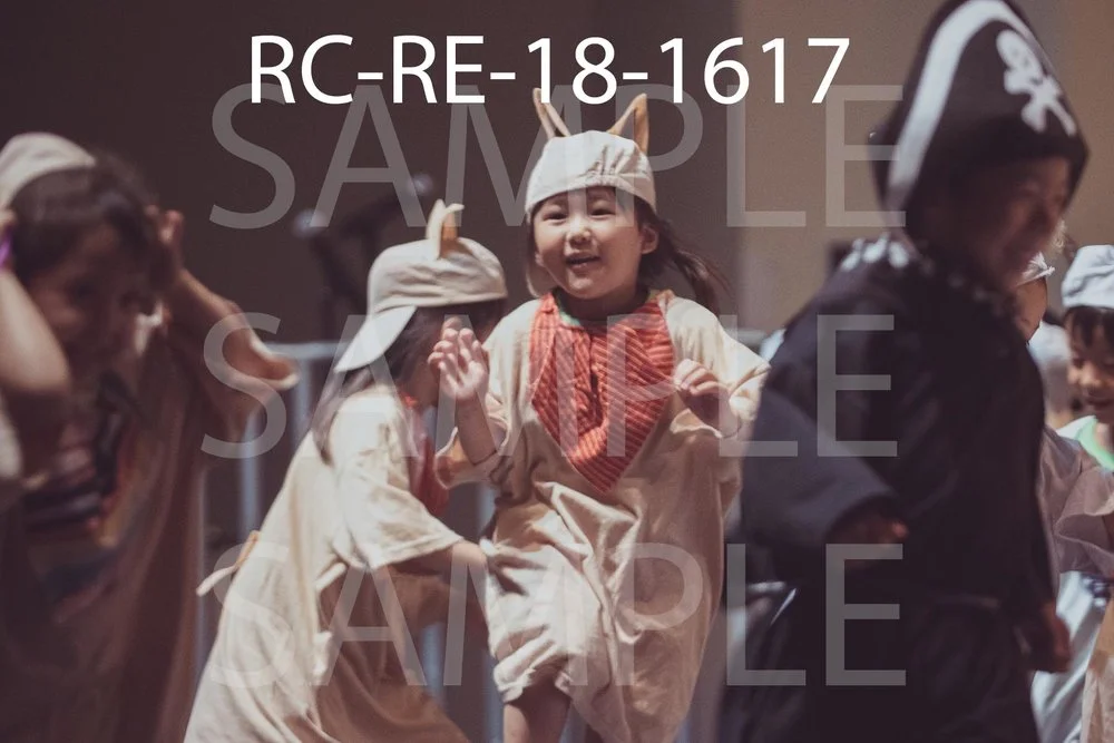 RC-RE-18-1617.jpg