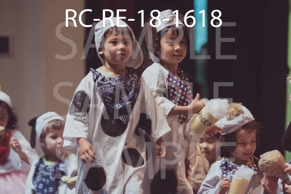 RC-RE-18-1618.jpg