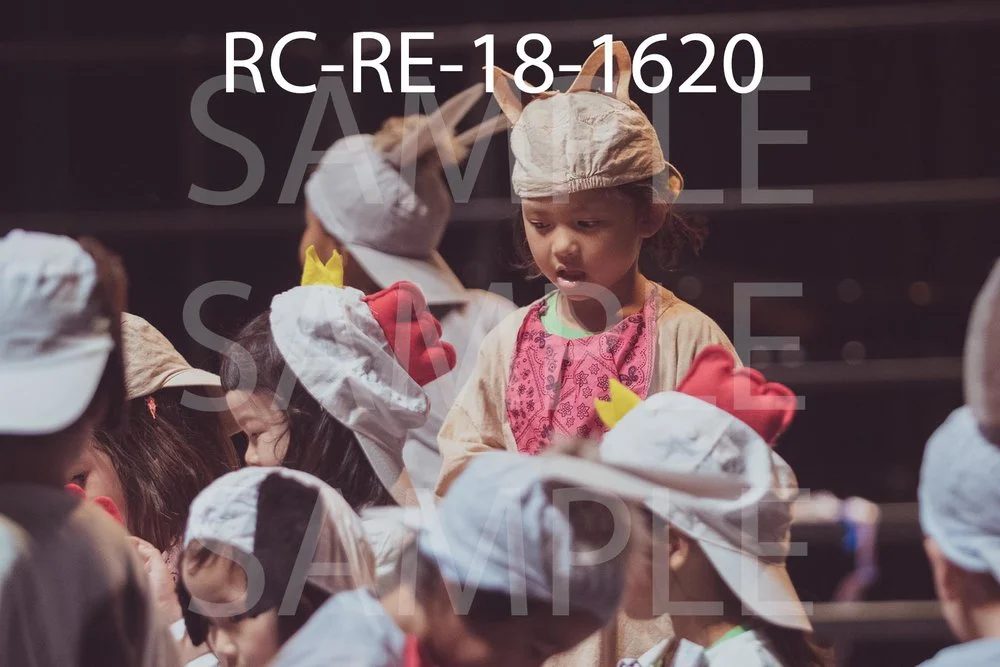 RC-RE-18-1620.jpg