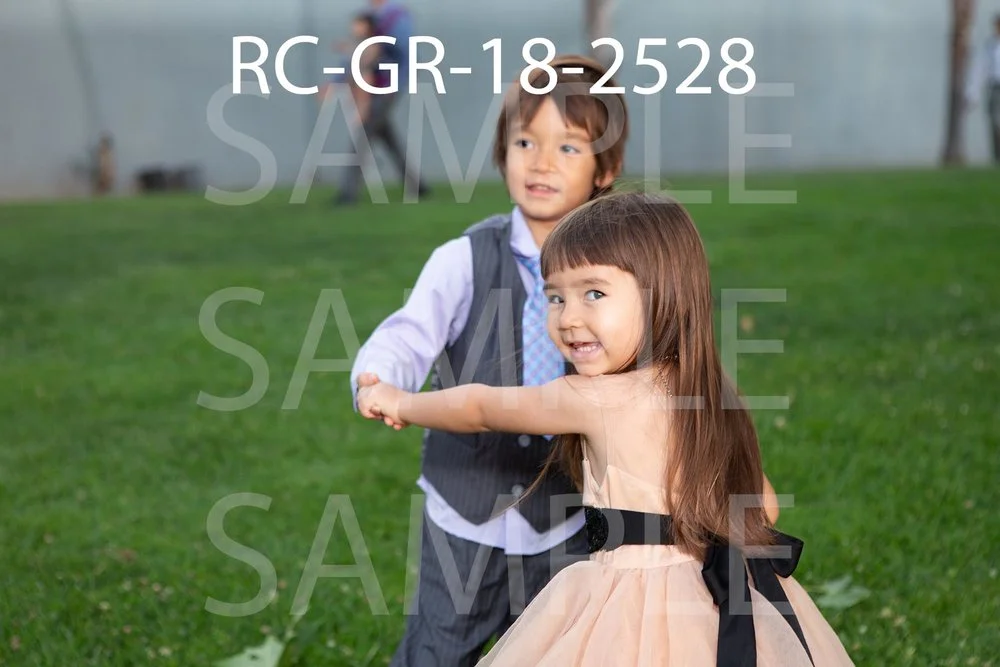 RC-GR-18-2528.jpg