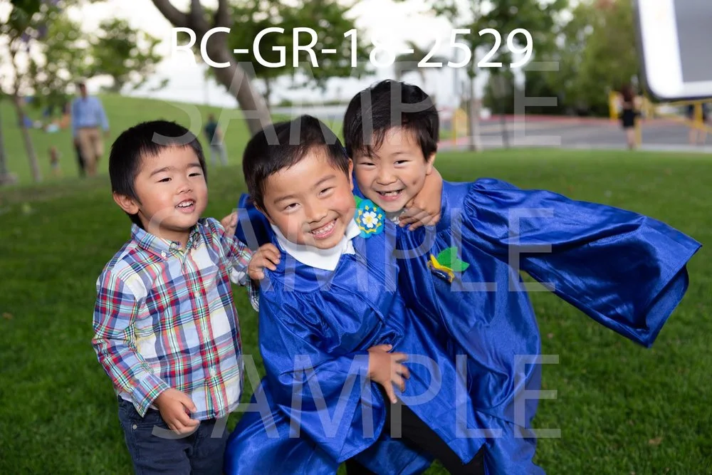 RC-GR-18-2529.jpg