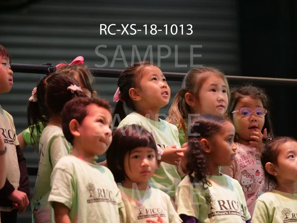 RC-XS-18-1013.jpg