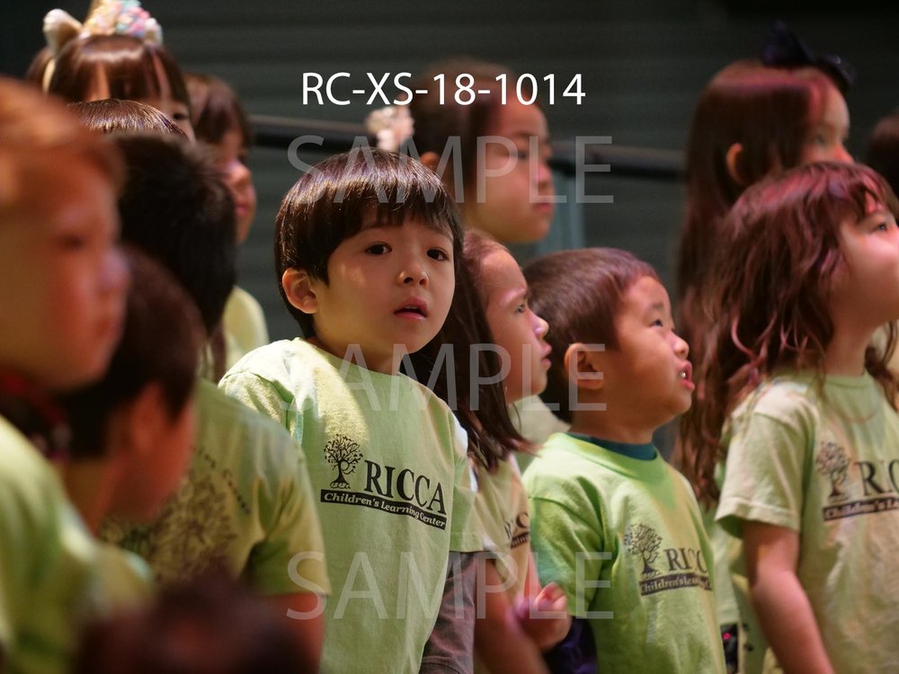 RC-XS-18-1014.jpg