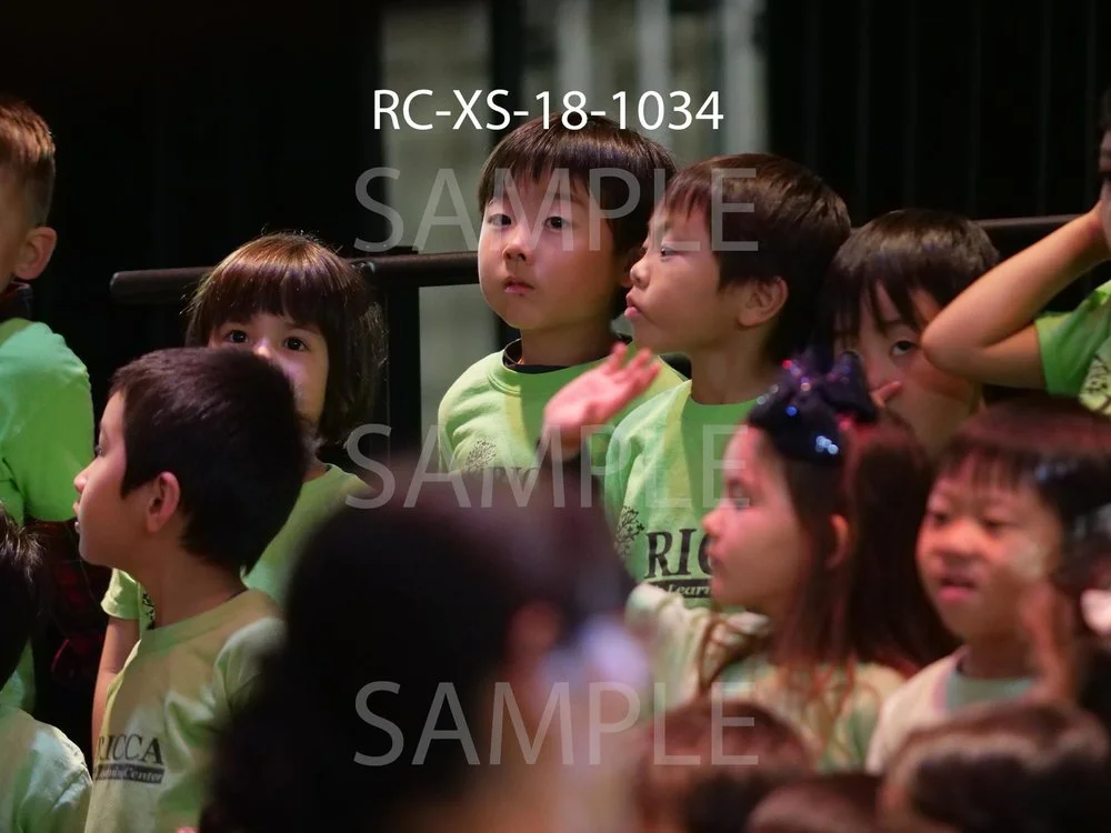 RC-XS-18-1034.jpg