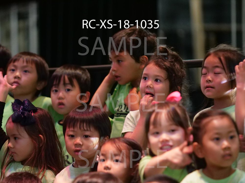 RC-XS-18-1035.jpg