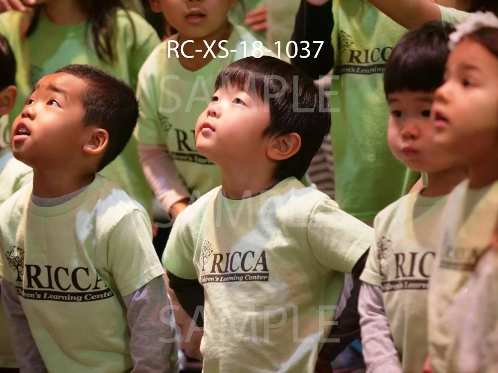 RC-XS-18-1037.jpg