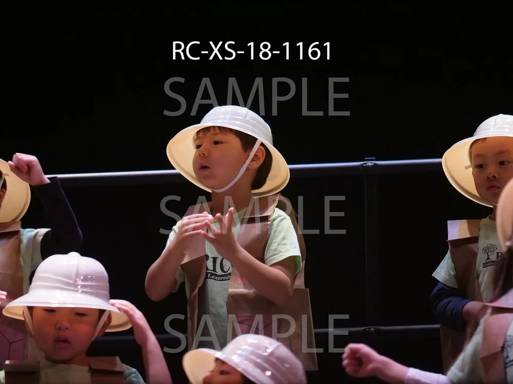 RC-XS-18-1161.jpg