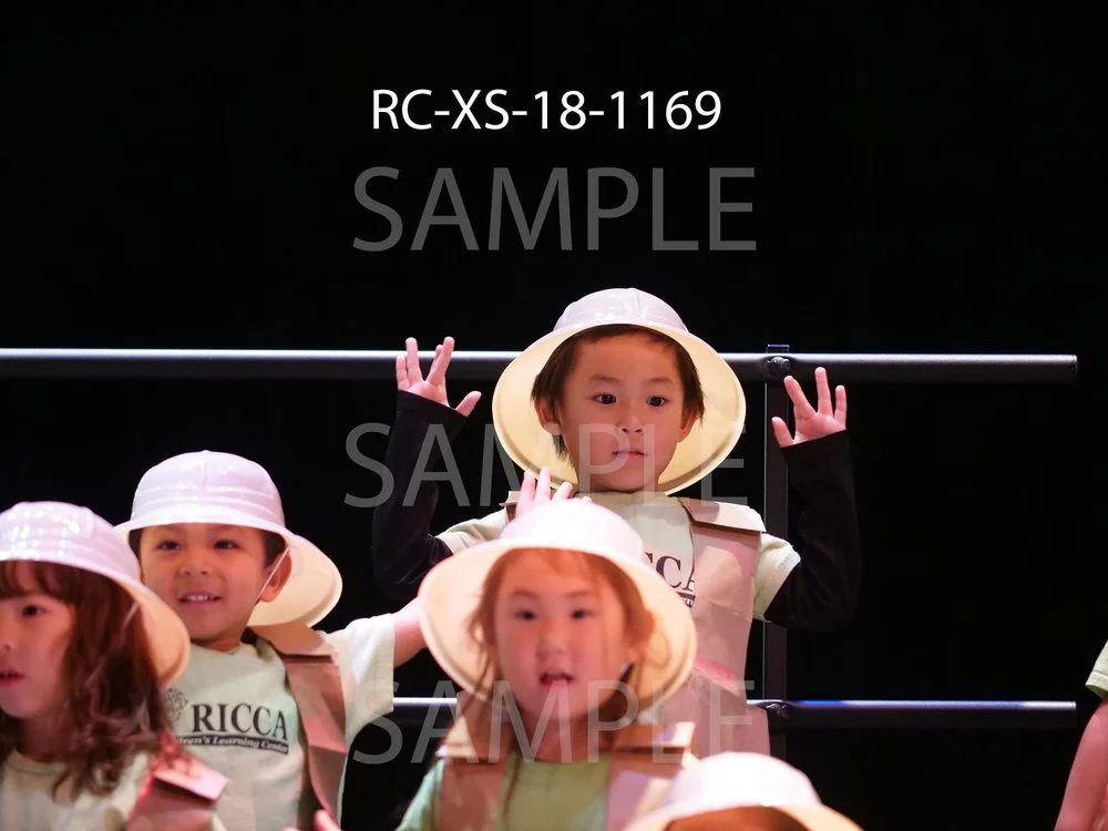 RC-XS-18-1169.jpg