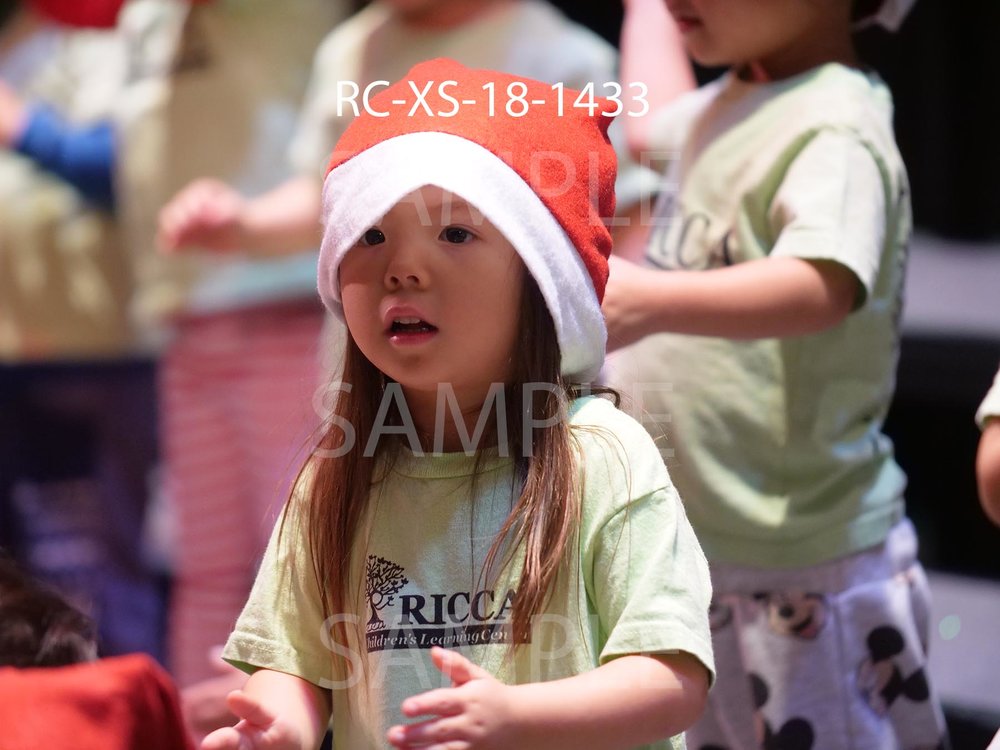 RC-XS-18-1433.jpg