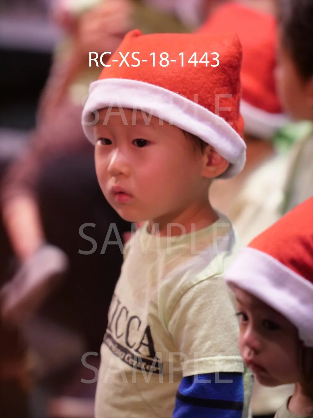 RC-XS-18-1443.jpg