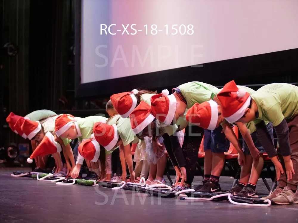 RC-XS-18-1508.jpg