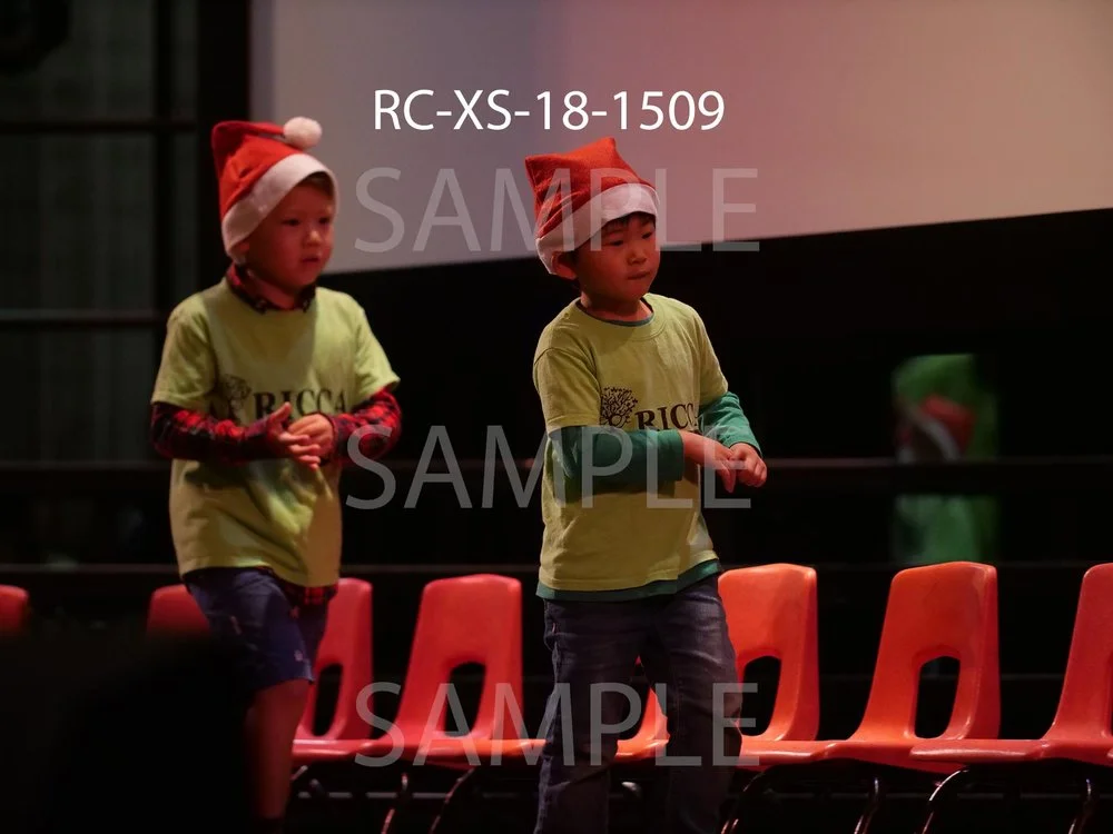 RC-XS-18-1509.jpg