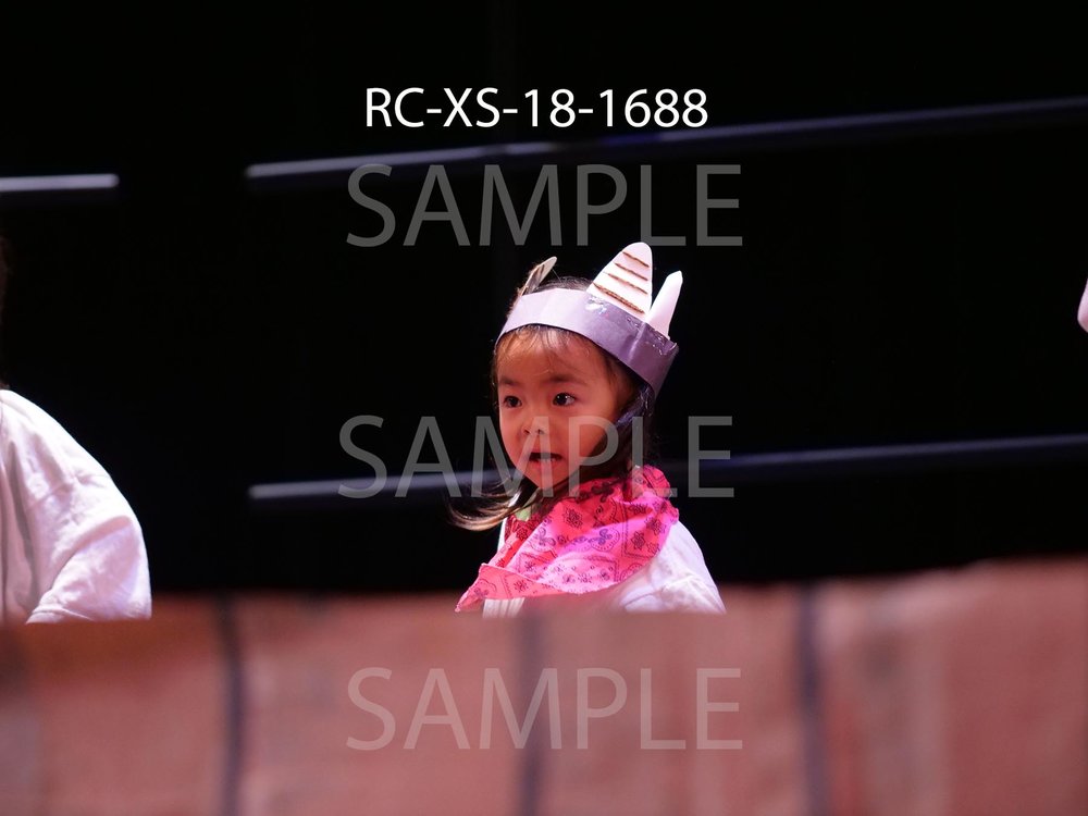 RC-XS-18-1688.jpg