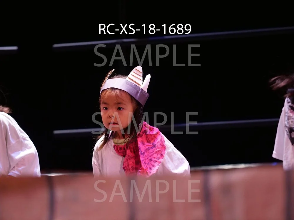 RC-XS-18-1689.jpg