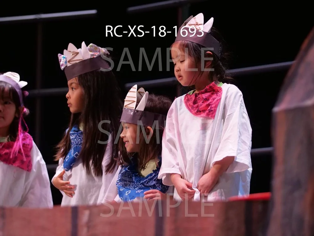 RC-XS-18-1693.jpg