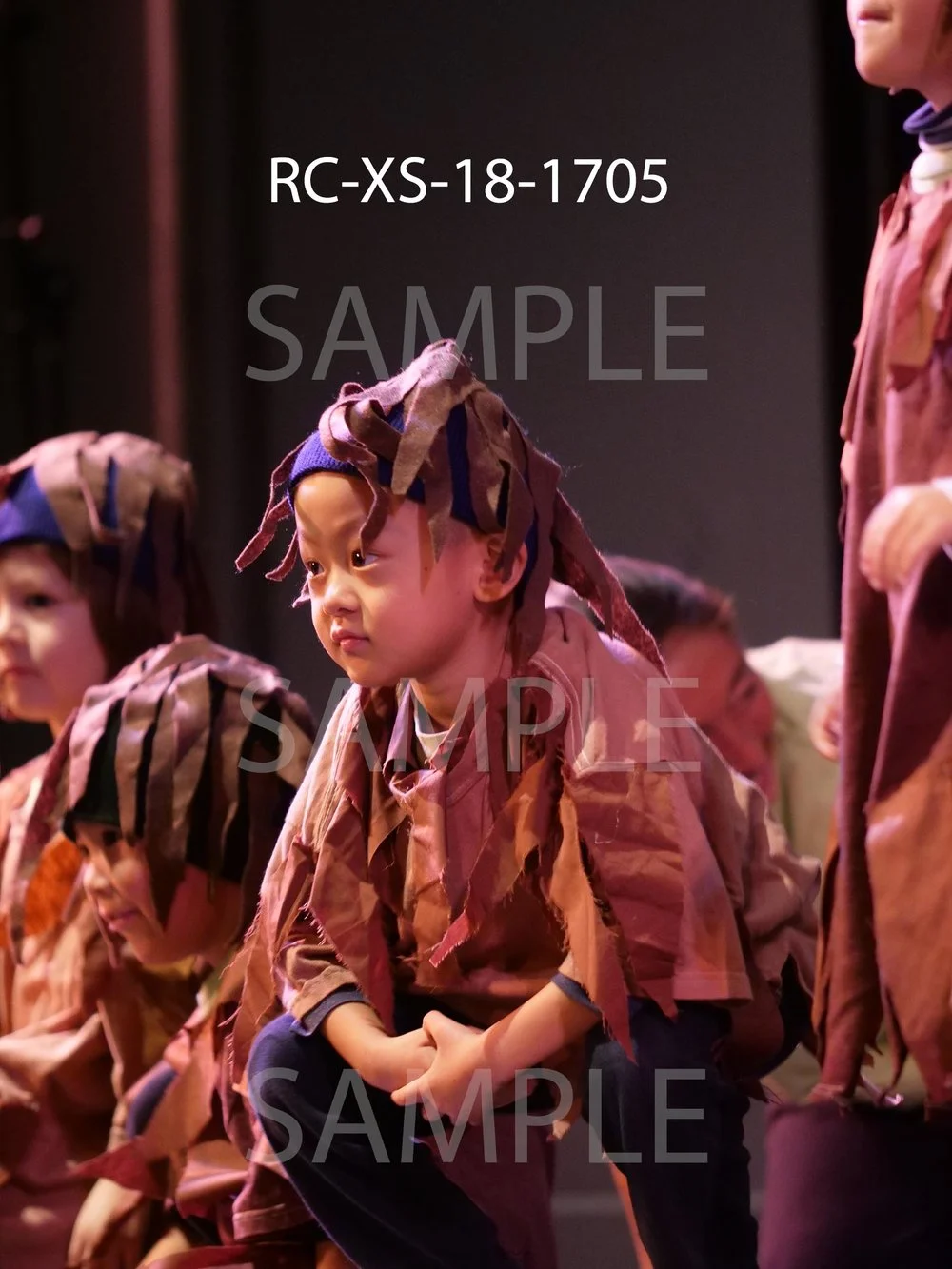 RC-XS-18-1705.jpg