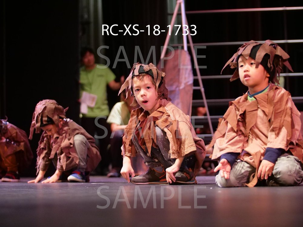 RC-XS-18-1733.jpg