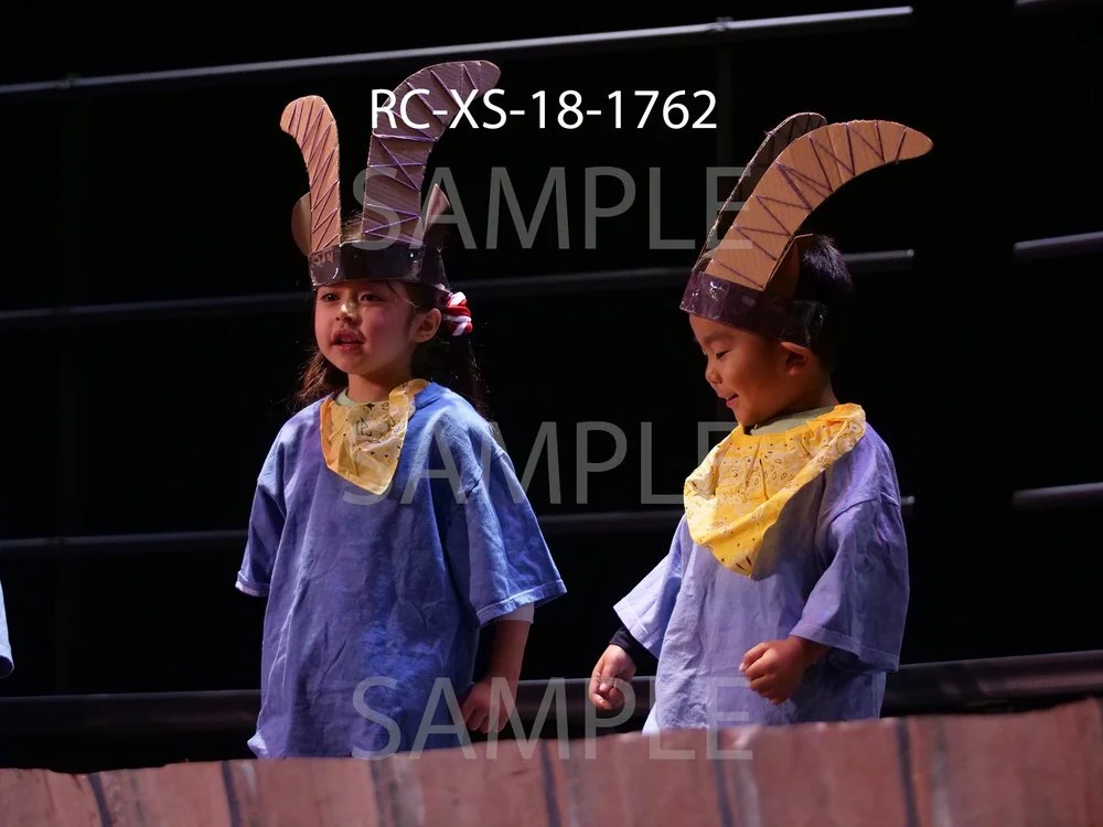 RC-XS-18-1762.jpg