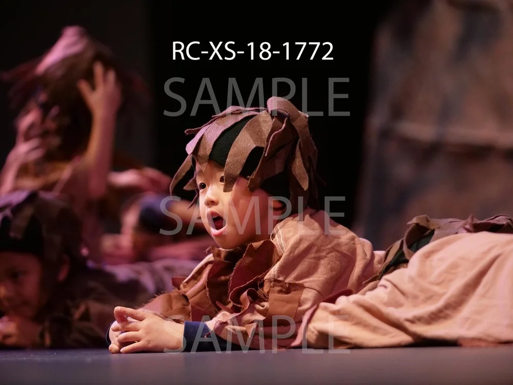 RC-XS-18-1772.jpg