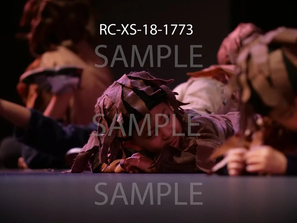 RC-XS-18-1773.jpg