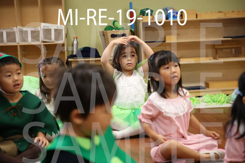 MI-RE-19-1010.jpg