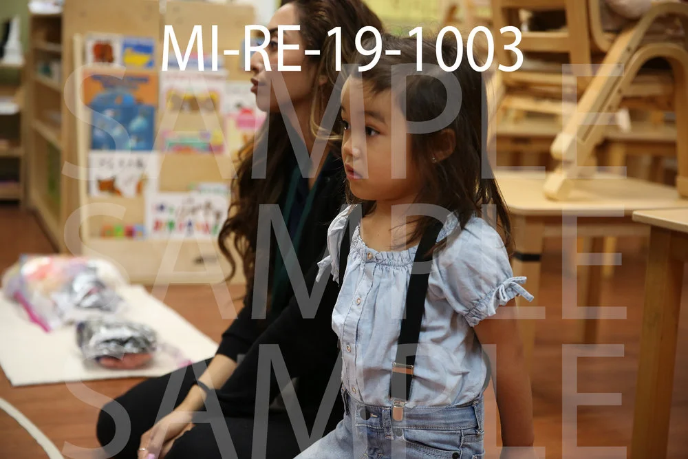 MI-RE-19-1003.jpg
