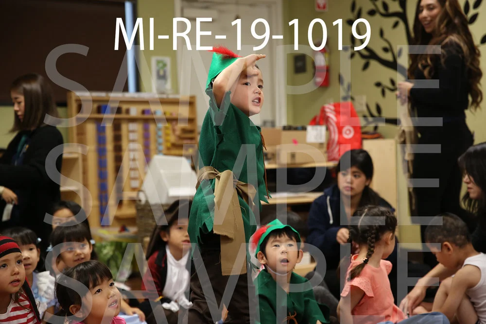 MI-RE-19-1019.jpg